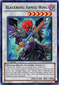 Blackwing Armed Wing - Duelist Pack: Crow (Rare) [DP11-014]