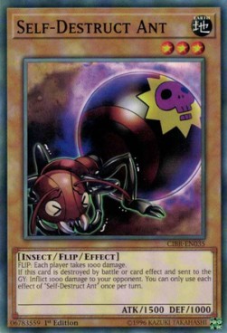 Self-Destruct Ant - Circuit Break (Common) [CIBR-035]