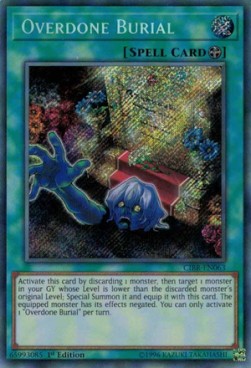 Overdone Burial - Circuit Break (Secret Rare) [CIBR-063]