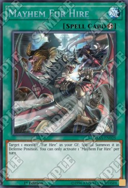 Mayhem Fur Hire - Dark Saviors (Secret Rare) [DASA-025]