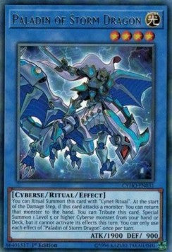 Paladin of Storm Dragon - Cybernetic Horizon (Rare) [CYHO-031]