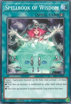 Spellbook of Wisdom - Structure Deck: Order of the Spellcasters (Common) [SR08-029]