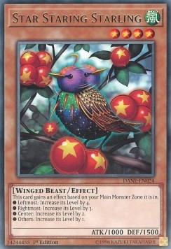 Star Staring Starling - Dark Neostorm (Rare) [DANE-024]