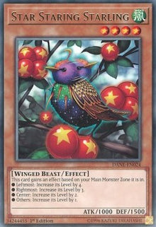 Star Staring Starling - Dark Neostorm (Rare) [DANE-024]