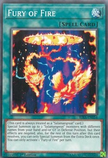 Fury of Fire - Rising Rampage (Common) [RIRA-054]
