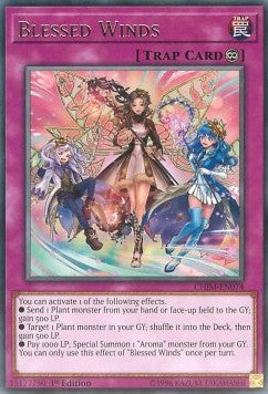 Blessed Winds - Chaos Impact (Rare) [CHIM-074]