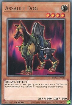 Assault Dog - Dragons of Legend: The Complete Series (Common) [DLCS-035]
