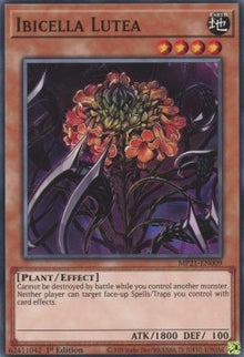 Ibicella Lutea - 2021 Tin of Ancient Battles (Common) [MP21-009]