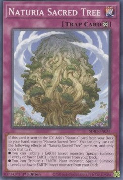 Naturia Sacred Tree - Structure Deck: Beware of Traptrix (Common) [SDBT-037]