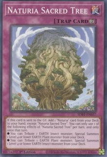 Naturia Sacred Tree - Structure Deck: Beware of Traptrix (Common) [SDBT-037]