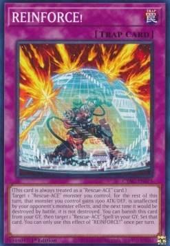 REINFORCE! - Cyberstorm Access (Common) [CYAC-075]