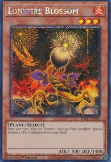 Lonefire Blossom (V.4 - Platinum Secret Rare) - 25th Anniversary Rarity Collection (Platinum Secret Rare) [RA01-002]