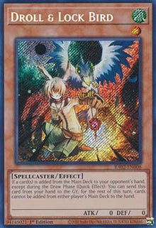 Droll & Lock Bird (V.5 - Secret Rare) - 25th Anniversary Rarity Collection II (Secret Rare) [RA02-006]