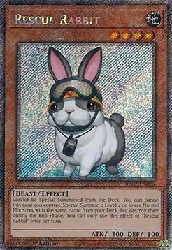 Rescue Rabbit (V.4 - Platinum Secret Rare) - 25th Anniversary Rarity Collection II (Platinum Secret Rare) [RA02-008]