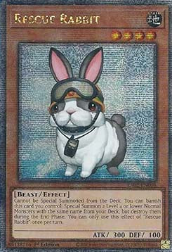 Rescue Rabbit (V.5 - Quarter Century Secret Rare) - 25th Anniversary Rarity Collection II (Quarter Century Secret Rare) [RA02-008]