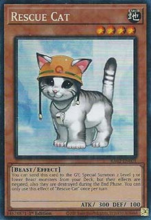 Rescue Cat (V.11 - Collectors Rare) - 25th Anniversary Rarity Collection II (Collectors Rare) [RA02-001]