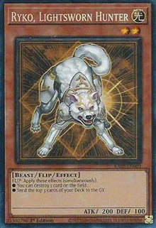 Ryko, Lightsworn Hunter (V.6 - Collectors Rare) - 25th Anniversary Rarity Collection II (Collectors Rare) [RA02-003]