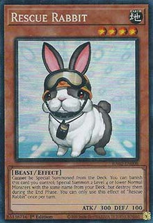 Rescue Rabbit (V.6 - Collectors Rare) - 25th Anniversary Rarity Collection II (Collectors Rare) [RA02-008]