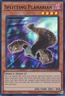 Splitting Planarian - Rage of the Abyss (Super Rare) [ROTA-100]