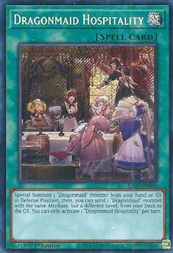 Dragonmaid Hospitality (V.3 - Secret Rare) - Quarter Century Bonanza (Secret Rare) [RA03-068]
