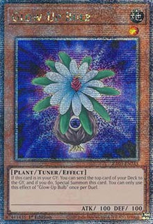 Glow-Up Bulb (V.2 - Quarter Century Secret Rare) - Quarter Century Bonanza (Quarter Century Secret Rare) [RA03-245]