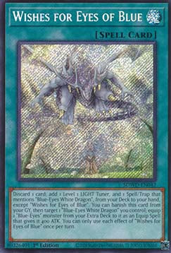 Wishes for Eyes of Blue (V.2 - Secret Rare) - Structure Deck: Blue-Eyes White Destiny (Secret Rare) [SDWD-042]