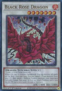 Black Rose Dragon (V.2 - Ultra Rare) - Quarter Century Stampede (Ultra Rare) [RA04-057]