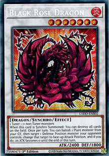 Black Rose Dragon (V.1 - Secret Rare) - Legendary 5D's Decks (Secret Rare) [L5DD-S02]