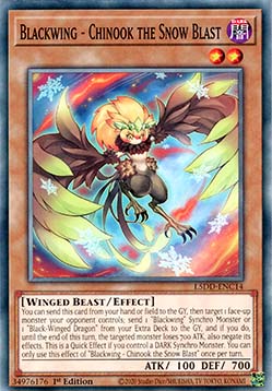 Blackwing - Chinook the Snow Blast - Legendary 5D's Decks (Common) [L5DD-C14]