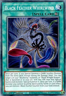 Black Feather Whirlwind - Legendary 5D's Decks (Common) [L5DD-C22]