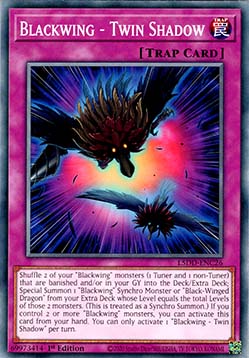Blackwing - Twin Shadow - Legendary 5D's Decks (Common) [L5DD-C26]